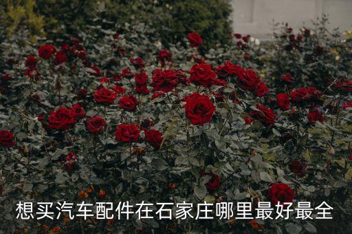 想买汽车配件在石家庄哪里最好最全
