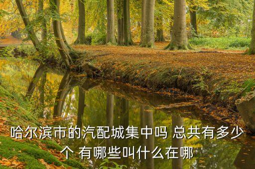 哈尔滨市的汽配城集中吗 总共有多少个 有哪些叫什么在哪