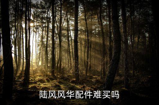 陆风风华配件难买吗