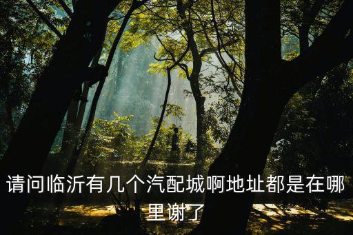 请问临沂有几个汽配城啊地址都是在哪里谢了
