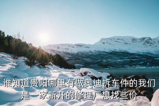 谁知道贵阳哪里有做奥迪拆车件的我们是一家新开的修理厂想找些价