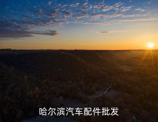 日产汽车配件哈尔滨总，哈尔滨汽车配件批发