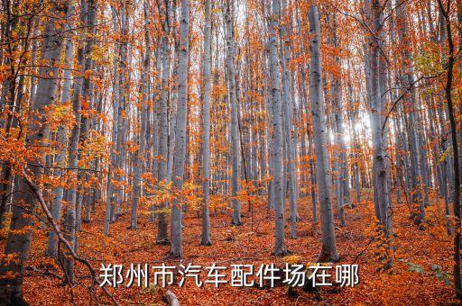 郑州市汽车配件场在哪