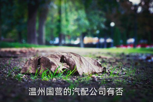 温州国营的汽配公司有否