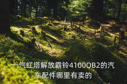 一汽红塔解放霸铃4100QB2的汽车配件哪里有卖的