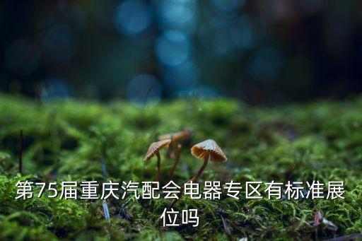 第75届重庆汽配会电器专区有标准展位吗