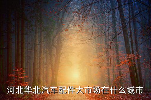 河北省汽配城，现在哪的汽配城生意比较好