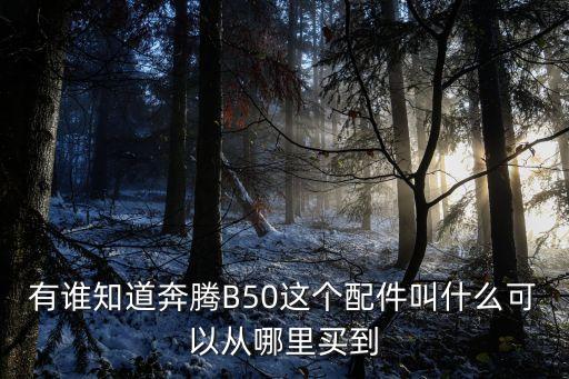 天津一汽奔腾汽车配件，一汽轿车奔腾b70配件 中网的价格是多少