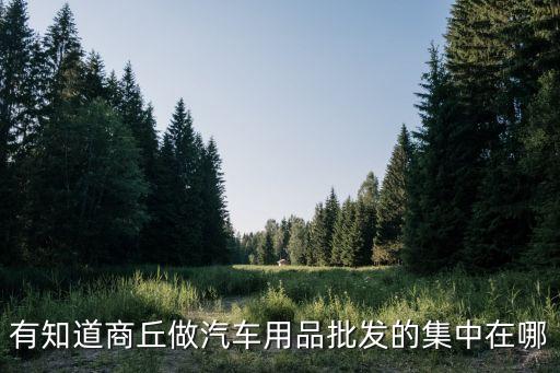 有知道商丘做汽车用品批发的集中在哪