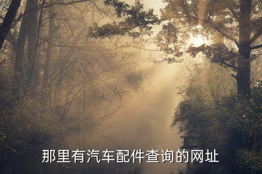 查丰田汽车配件网，谁能提供一下丰田汽配的网址谢谢