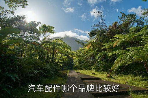 汽车配件哪个品牌比较好