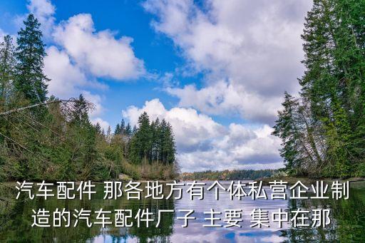 汽车配件 那各地方有个体私营企业制造的汽车配件厂子 主要 集中在那