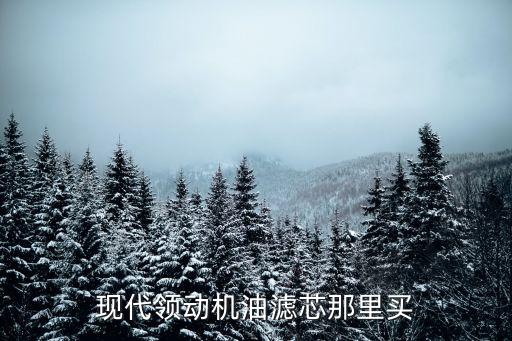 现代领动机油滤芯那里买