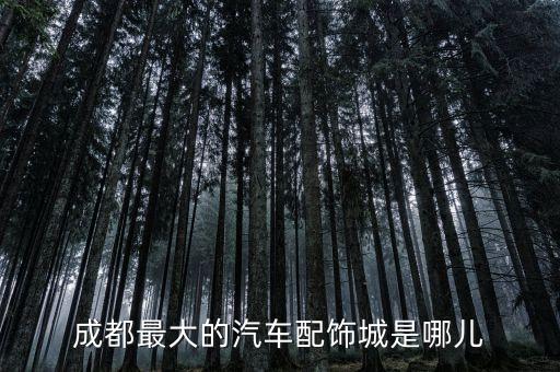 成都最大的汽车配饰城是哪儿