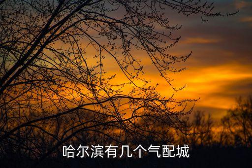 哈尔滨有几个气配城