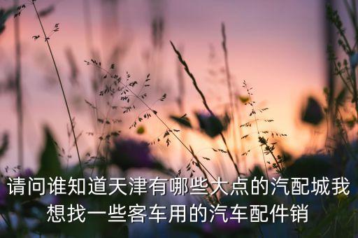 天津汽配，请问谁知道天津有哪些大点的汽配城我想找一些客车用的汽车配件销