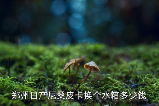 郑州尼桑汽车配件，郑州日产尼桑皮卡换个水箱多少钱