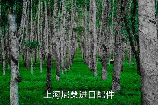 上海尼桑进口配件