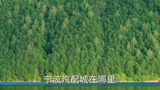 宁波汽配城在哪里