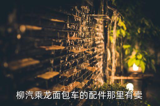 柳汽乘龙面包车的配件那里有卖