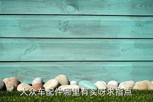 大众车配件哪里有买呀求指点