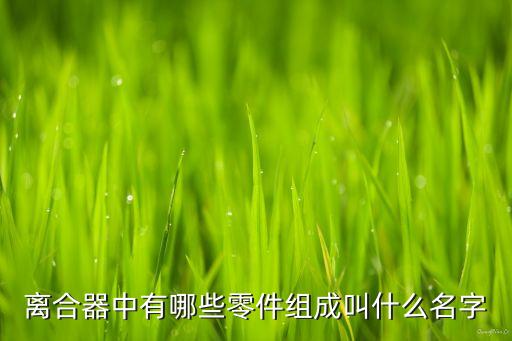 离合器中有哪些零件组成叫什么名字