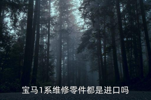 宝马1系维修零件都是进口吗