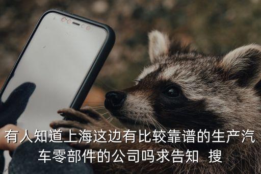上海鑫杰汽车配件有限公司，有人知道上海这边有比较靠谱的生产汽车零部件的公司吗求告知  搜
