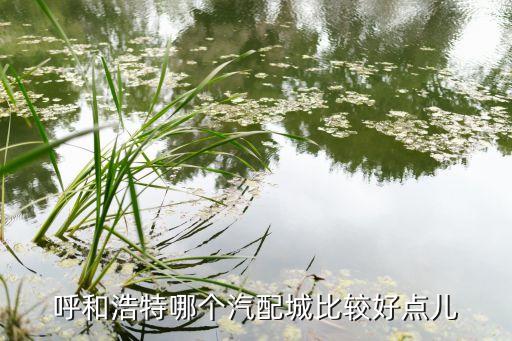 呼和浩特汽配城，呼和浩特哪个汽配城比较好点儿