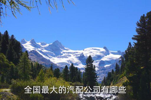 全国最大的汽配公司有哪些