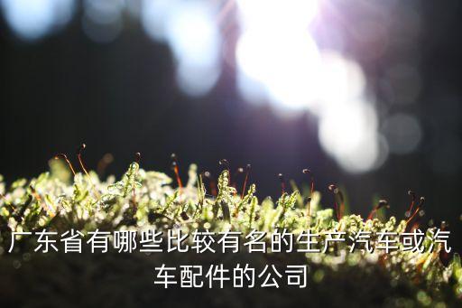 广东省有哪些比较有名的生产汽车或汽车配件的公司