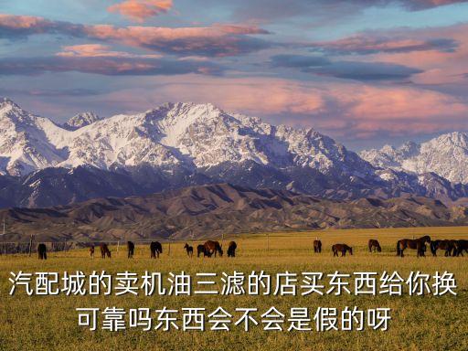 汽配城的卖机油三滤的店买东西给你换可靠吗东西会不会是假的呀