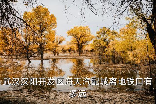 武汉汉阳开发区海天汽配城离地铁口有多远