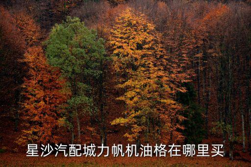 星沙汽配城力帆机油格在哪里买