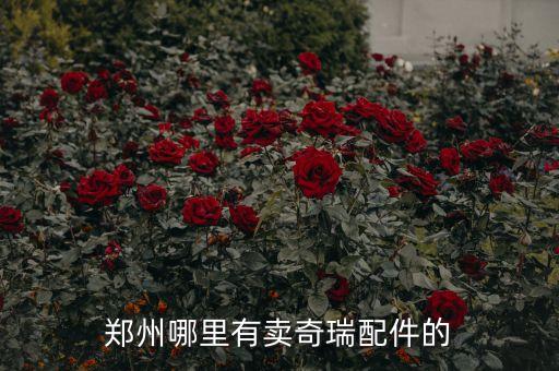 郑州帝豪汽车配件专卖，南京比亚迪配件哪里有卖
