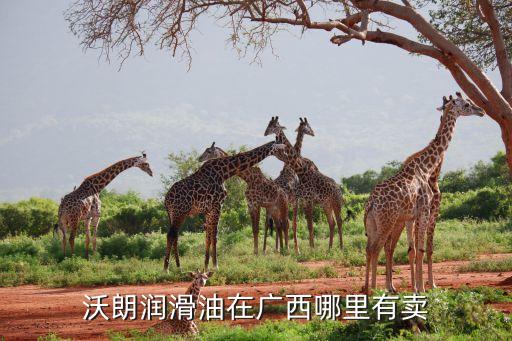 沃朗润滑油在广西哪里有卖