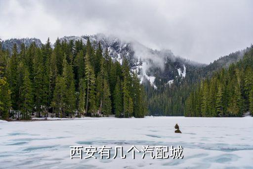 西安汽车配件销售招聘，西安有几个汽配城