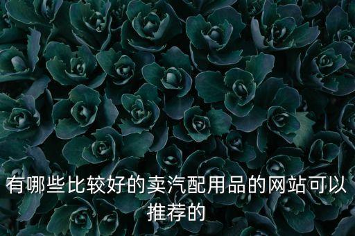 有哪些比较好的卖汽配用品的网站可以推荐的