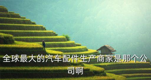 全球最大的汽车配件生产商家是那个公司啊