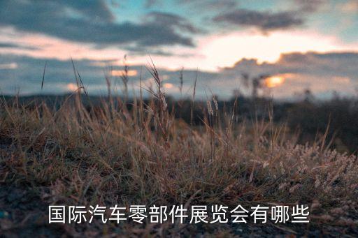 汽车配件展览名单，国内最大的汽车用品展有哪几个