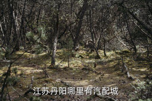 兰州通宝汽配城电话，甘肃兰州有哪些汽车汽配城各大汽车用品经销商有哪些