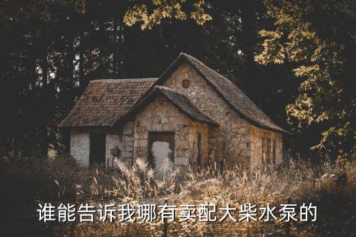 谁能告诉我哪有卖配大柴水泵的