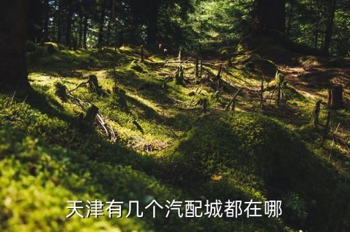 天津有几个汽配城都在哪
