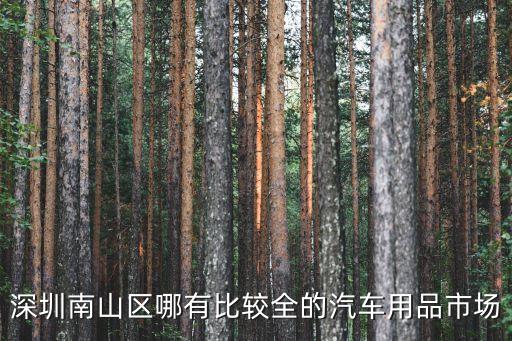 南山汽配城，深圳南山西丽哪里有汽配城