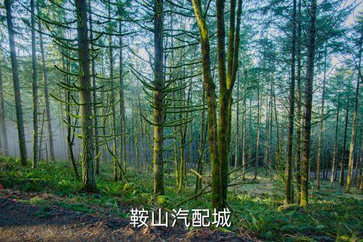 鞍山汽配城