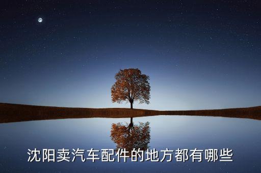 沈阳汽配城配件儿，沈阳卖汽车配件的地方都有哪些