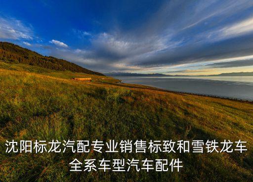 沈阳标龙汽配专业销售标致和雪铁龙车全系车型汽车配件