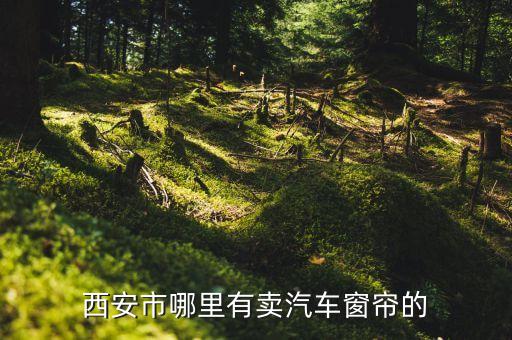 西安市哪里有卖汽车窗帘的