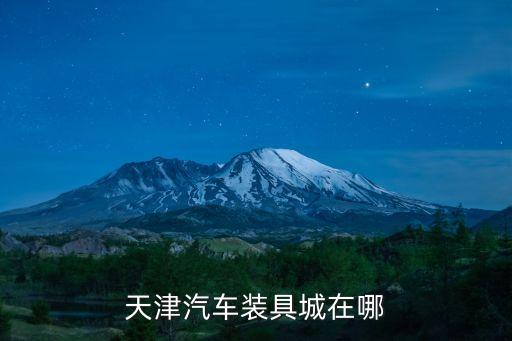 天津汽车装具城在哪