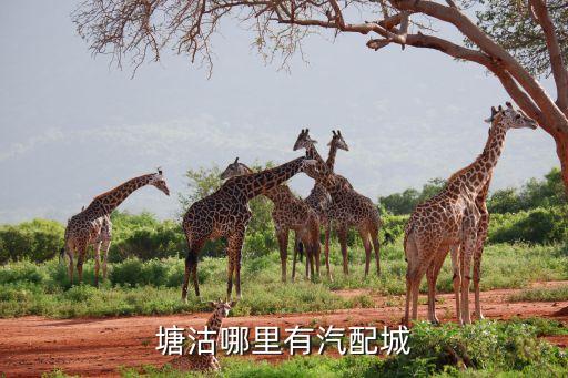 塘沽哪里有汽配城
